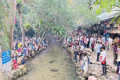 Du xuân ở Khu du lịch suối cá thần Cẩm Lương